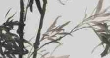 起重机司机(限塔式起重机)职业技能等级证书
